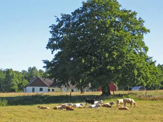 Lägenhet