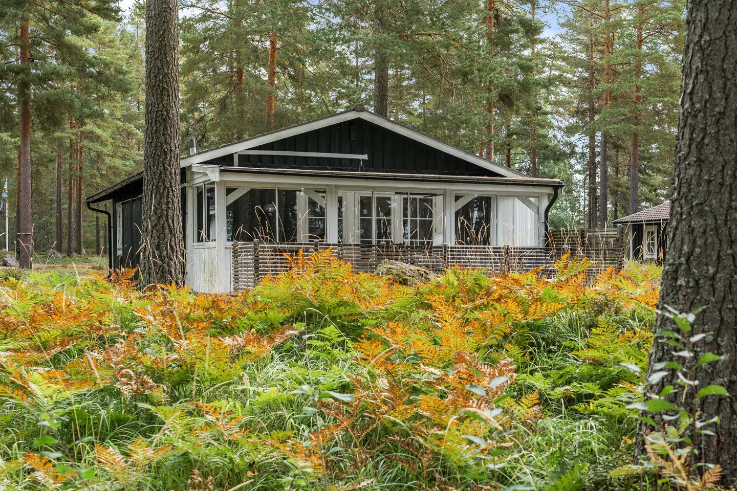 Bild 1 av 6 på Östa 503
