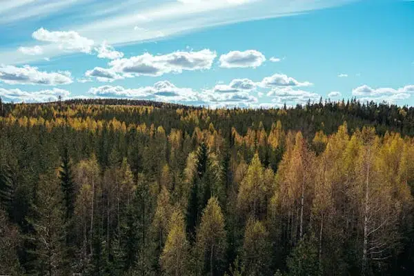 Lägenhet i Bräcke
