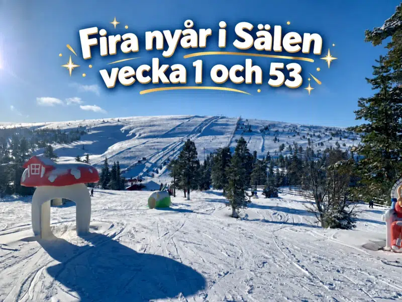 Fritidshus, 3 rum, 50 m²