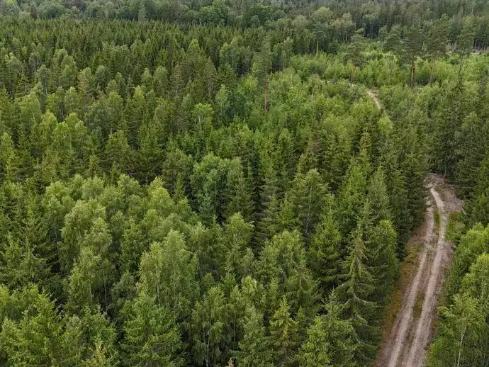 Lägenhet