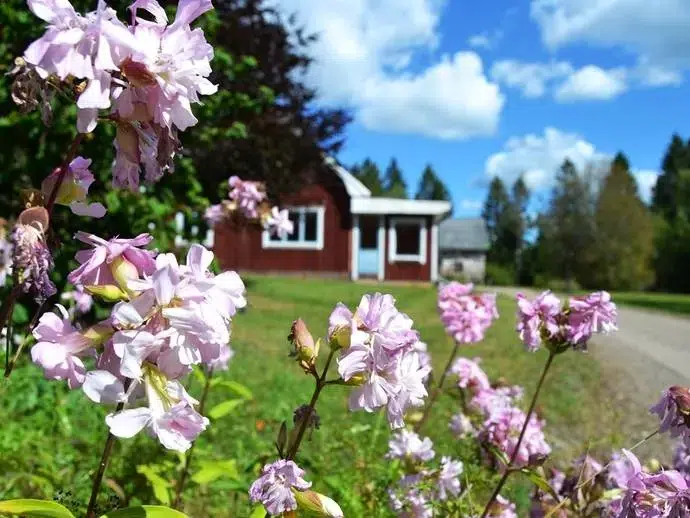 Lägenhet