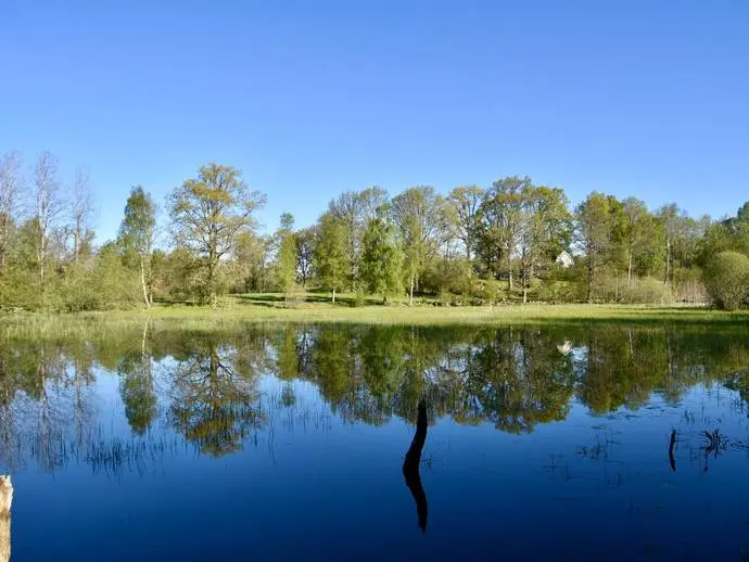 Bild 1 av 21 på Härbjörnarp 110