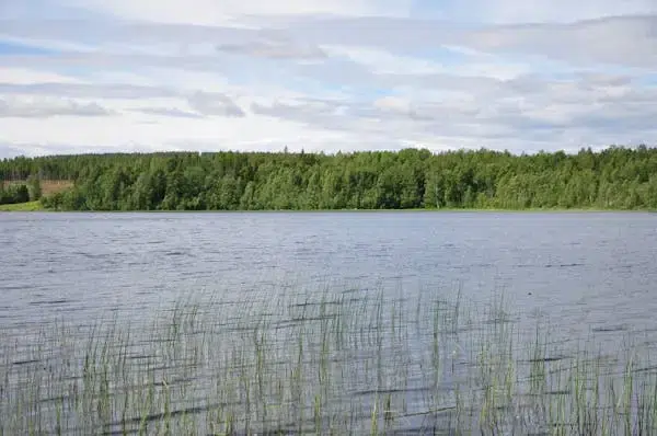 Gård