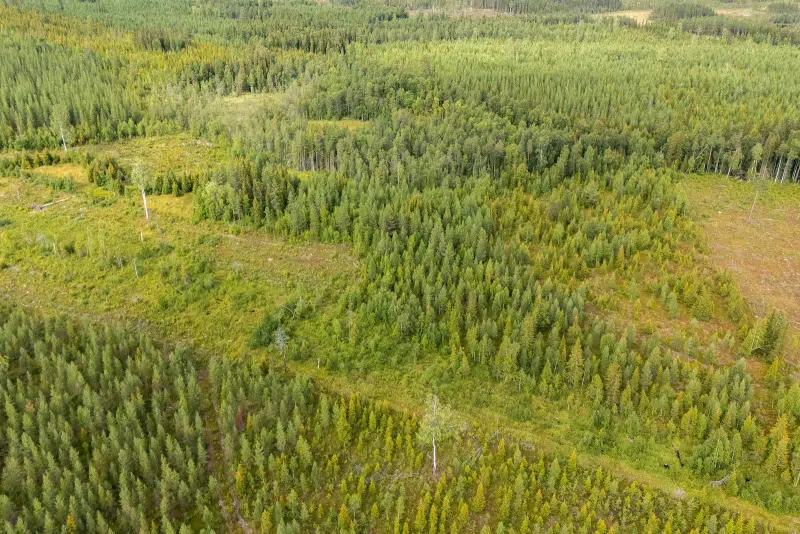 Lägenhet i Jörn