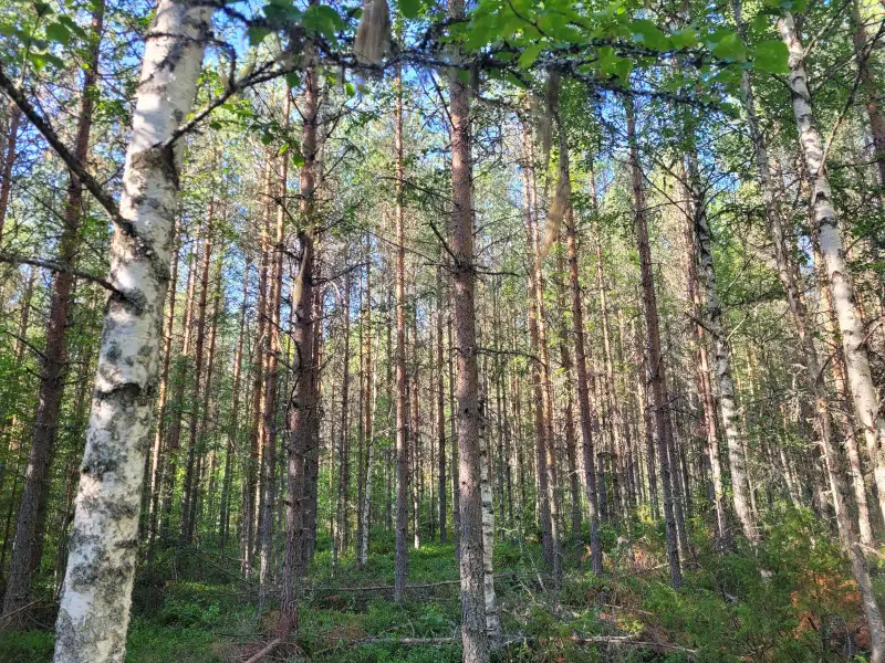 Lägenhet