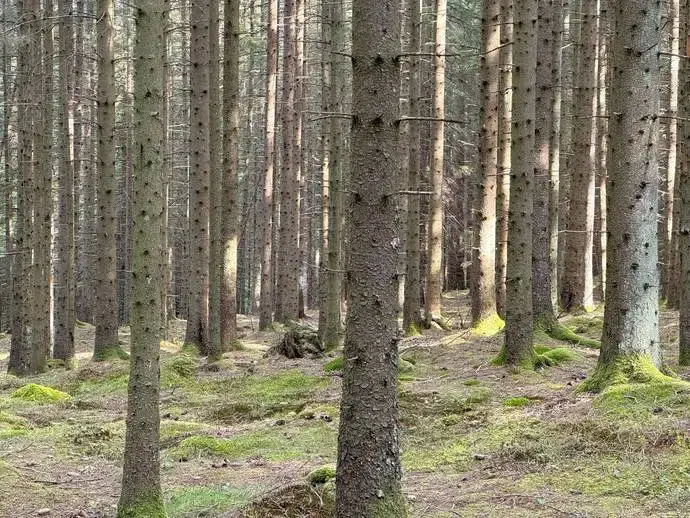 Lägenhet