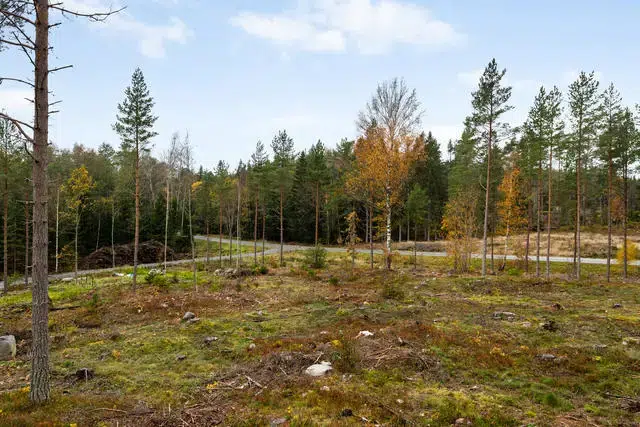 Land / plot, 2166 m² in Norrtalje