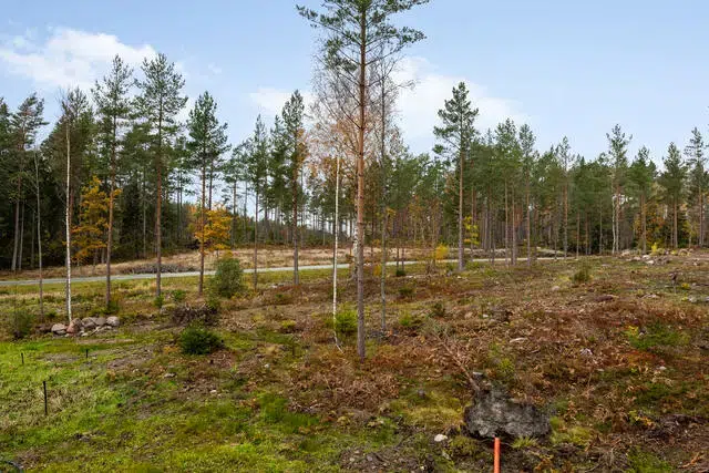 Land / plot, 2043 m² in Norrtalje