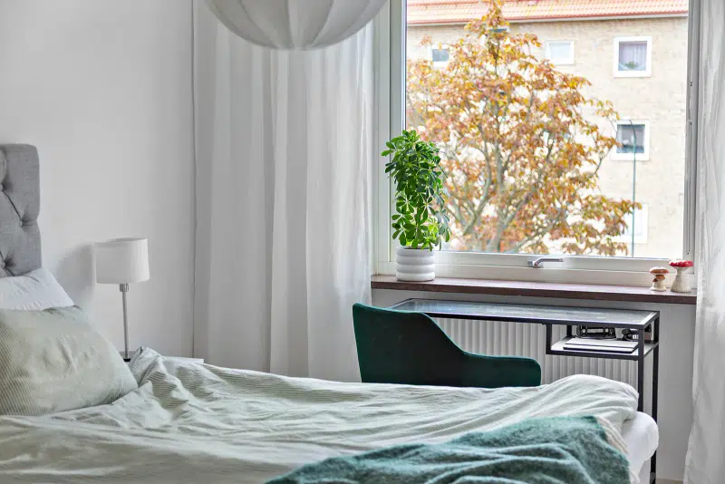 Apartment, 2 rooms, 56 m²