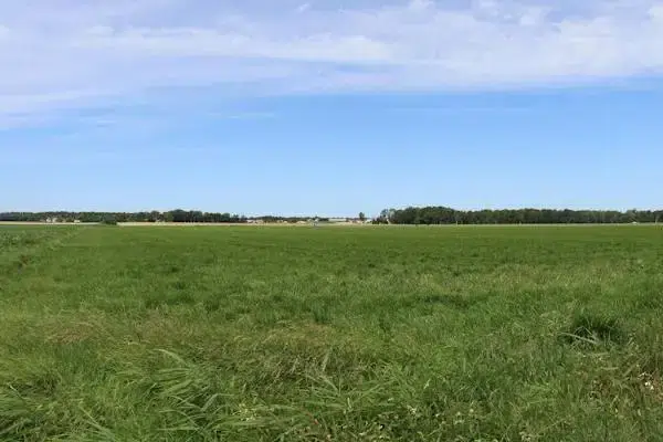 Gård