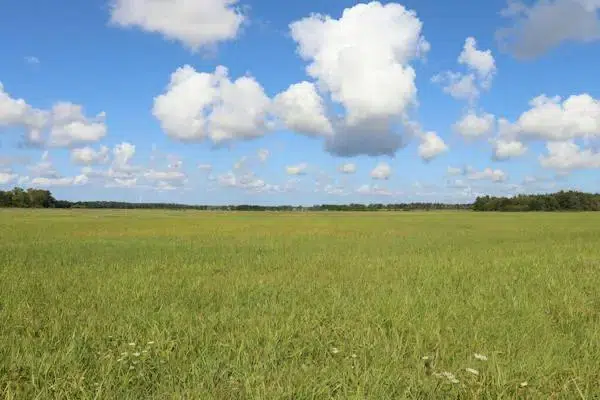 Gård i Gotland