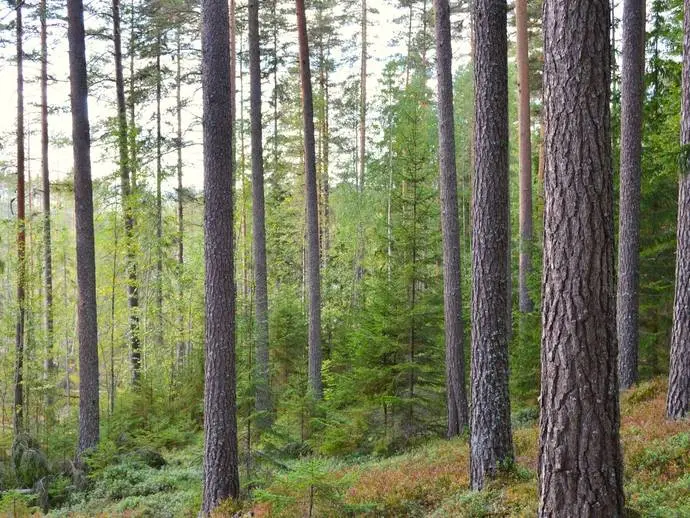 Bild 1 av 21 på Vällgården 