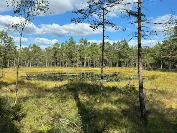 Gård i Lerum