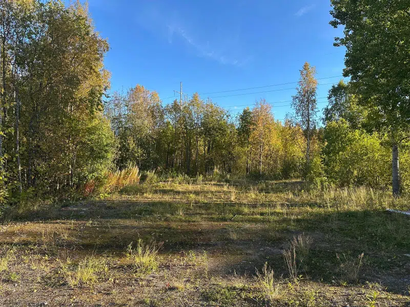 Land / plot, 732 m² in Gällivare