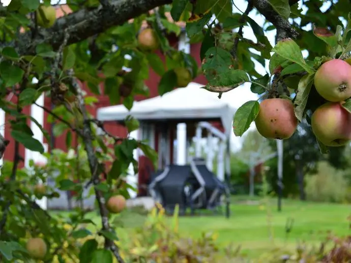 Bild 1 av 20 på Vällgården 