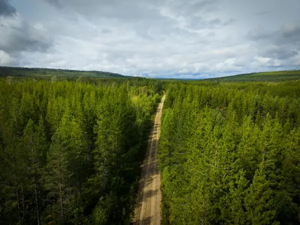 Bild 1 av 24 på Berg Nederhögen 1:3