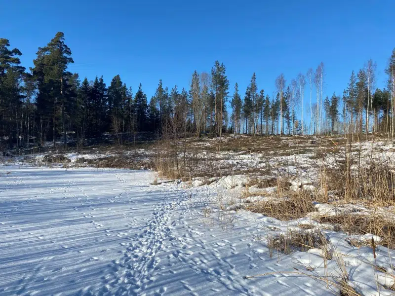 Tomt / mark i Svartnö/Eknö