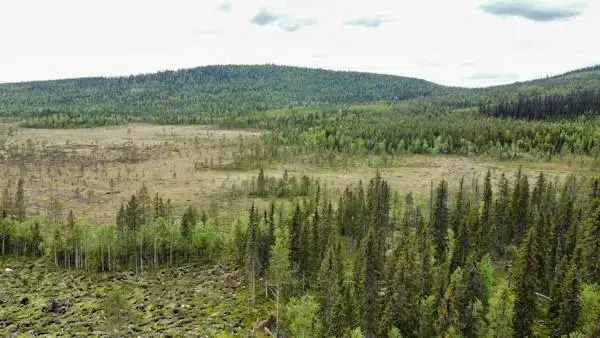 Gård i Malå