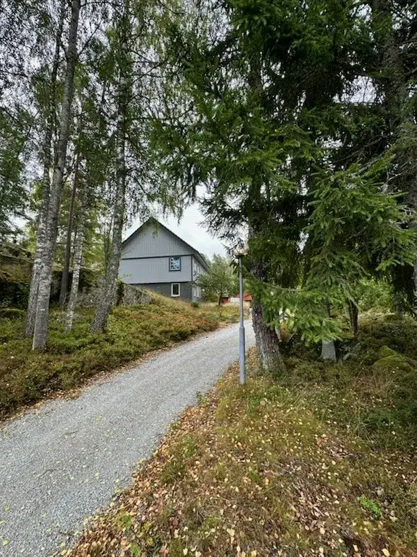 Farm in Nora