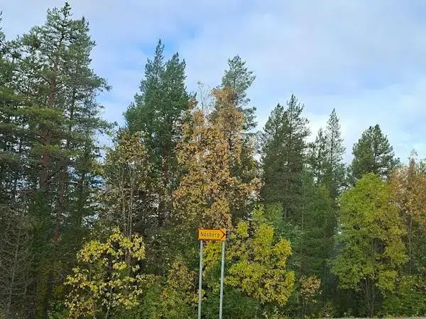Gård i Jokkmokk