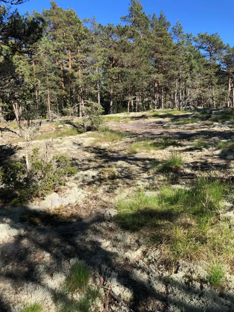 Other in Värmdö