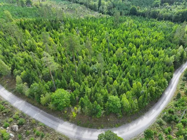 Bild 1 av 29 på RONNEBY SÄVSJÖMÅLA 1:11
