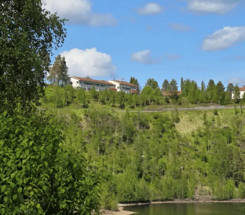 Other in Näsåker