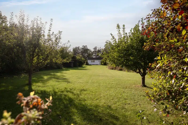 Holiday home, 4 rooms, 43 m² in Borgholm