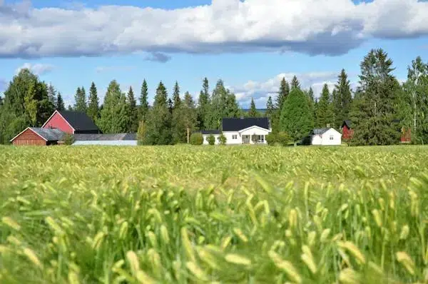 Gård, 130 m² i Älvsby