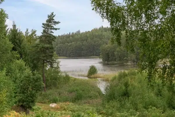 Fritidshus, 1 rum, 35 m² i Kisa