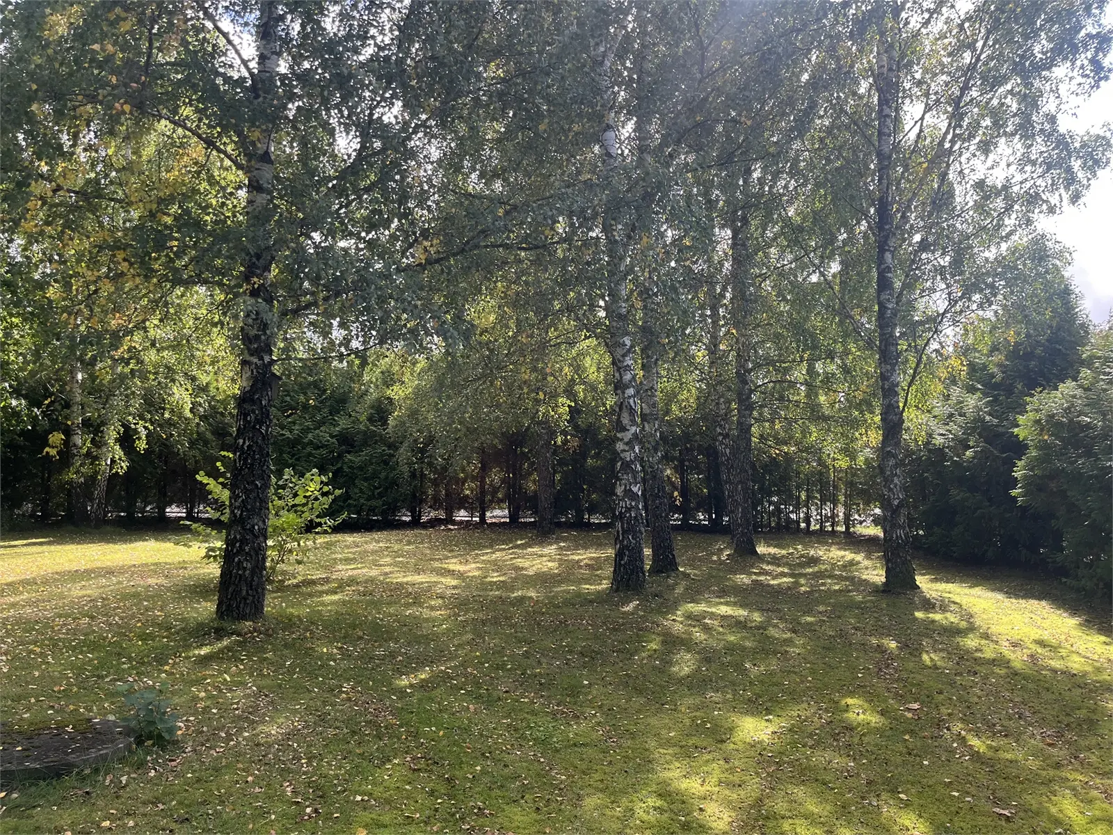 Image 1 of 9 of Verumsvägen 29