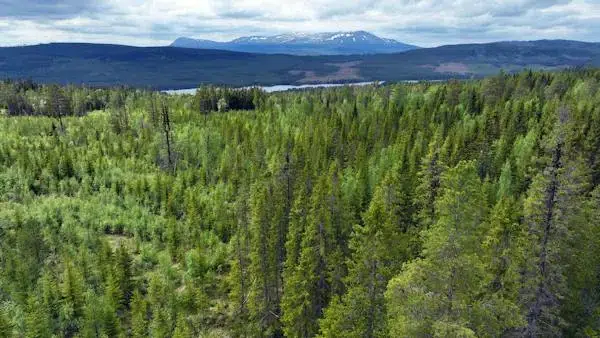 Gård i Hede