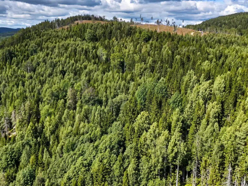 Övrigt, 5 rum, 115 m² i Stöde