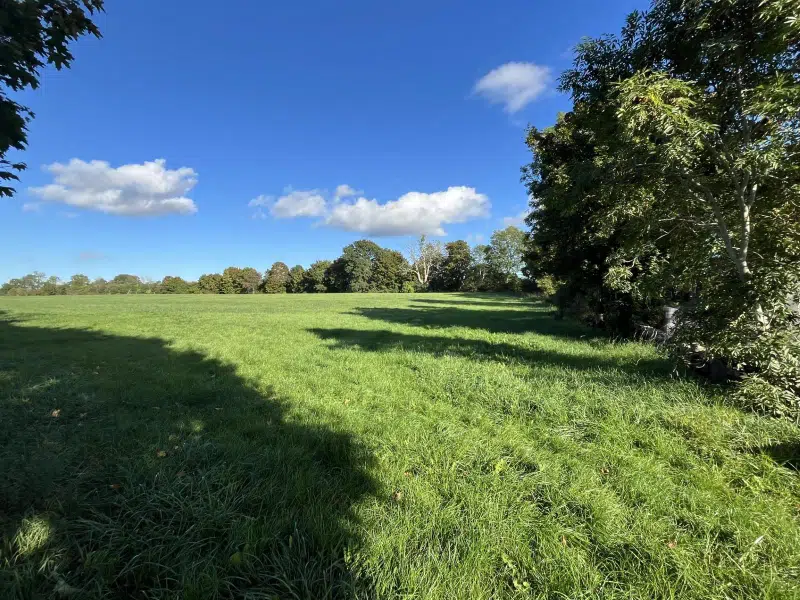 Övrigt, 11 rum, 146681 m² i Köpingsvik