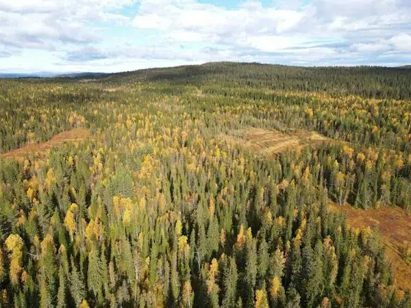 Gård