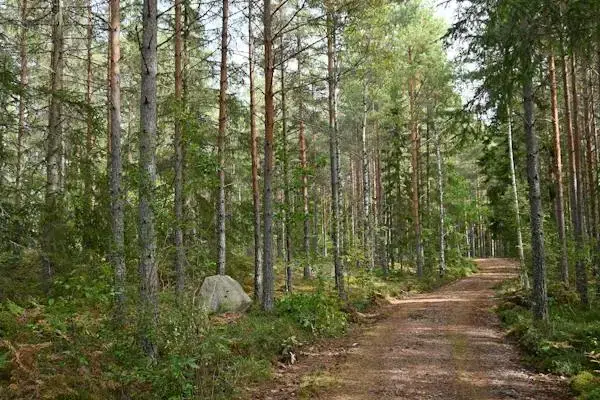 Farm in Bäckebo
