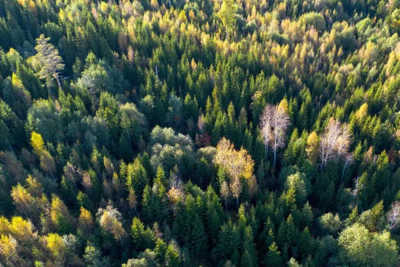 Gård i Ramvik