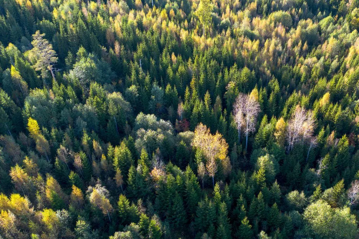 Bild 1 av 21 på Högberg 2:13