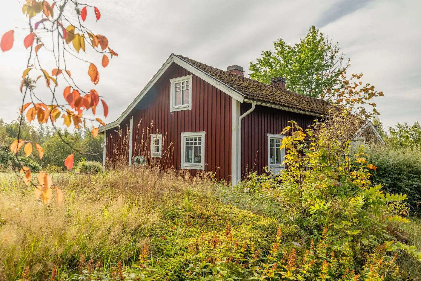 Image 1 of 41 of Bor Granåsen 1