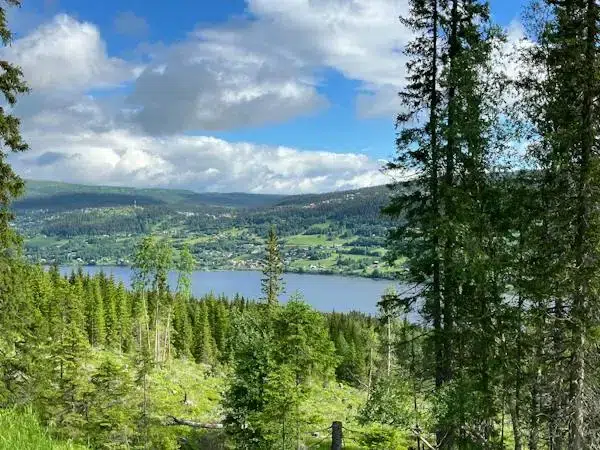 Gård i Åre