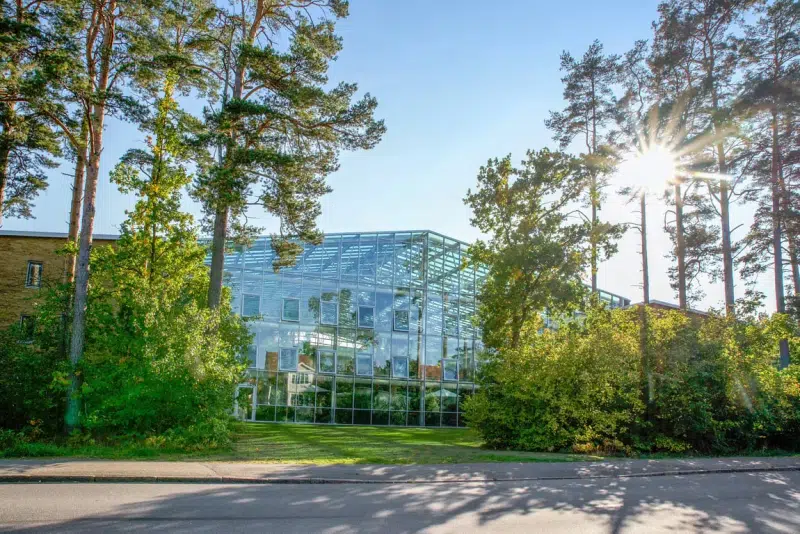 Lägenhet, 2 rum, 64 m² i Kalmar