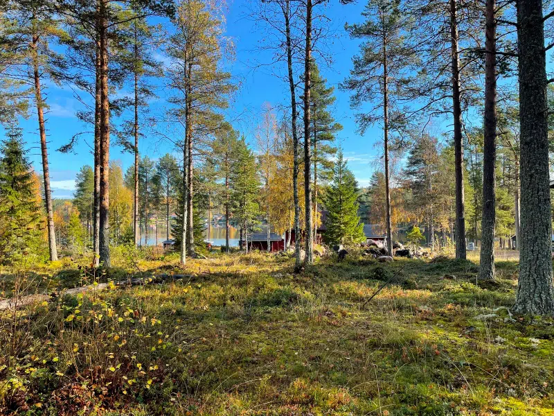 Tomt / mark i Luleå