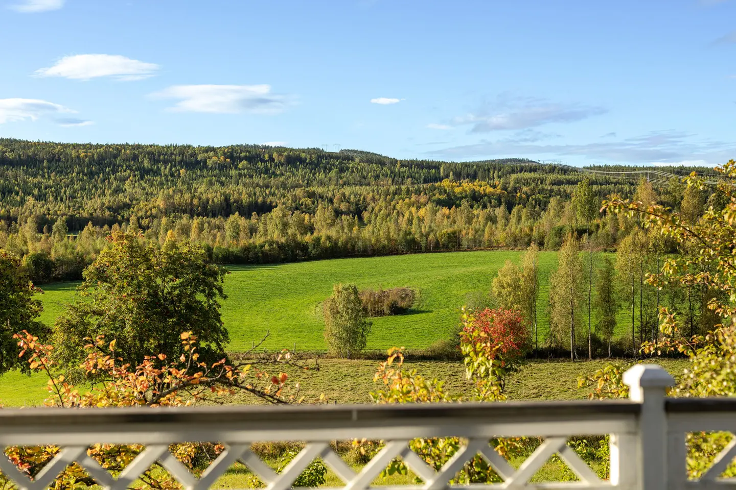 Bild 1 av 28 på Älgered 826