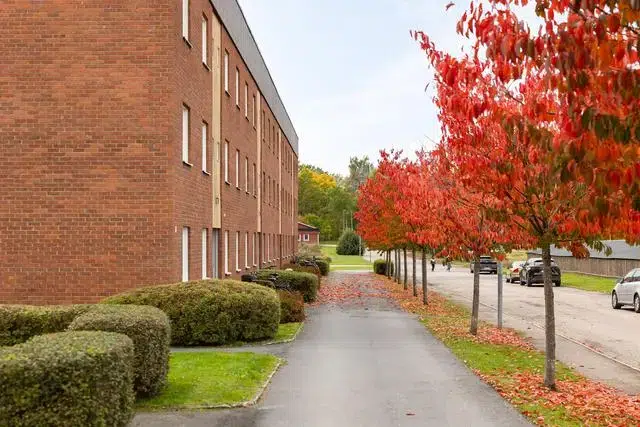 Lägenhet, 3 rum, 83 m² i Gimo