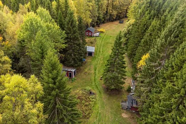 Image 1 of 25 of Botarbo