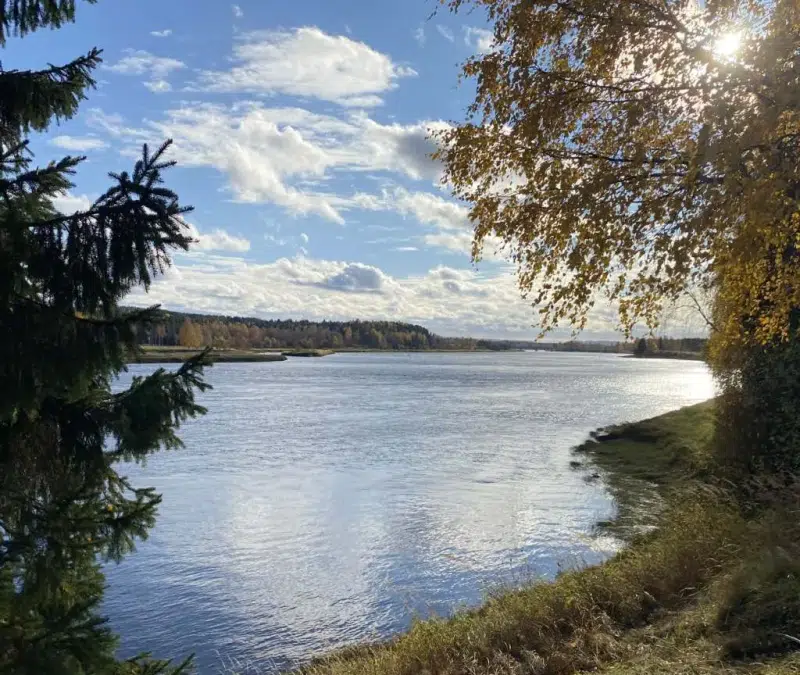 Gård, 2 rum i Överkalix
