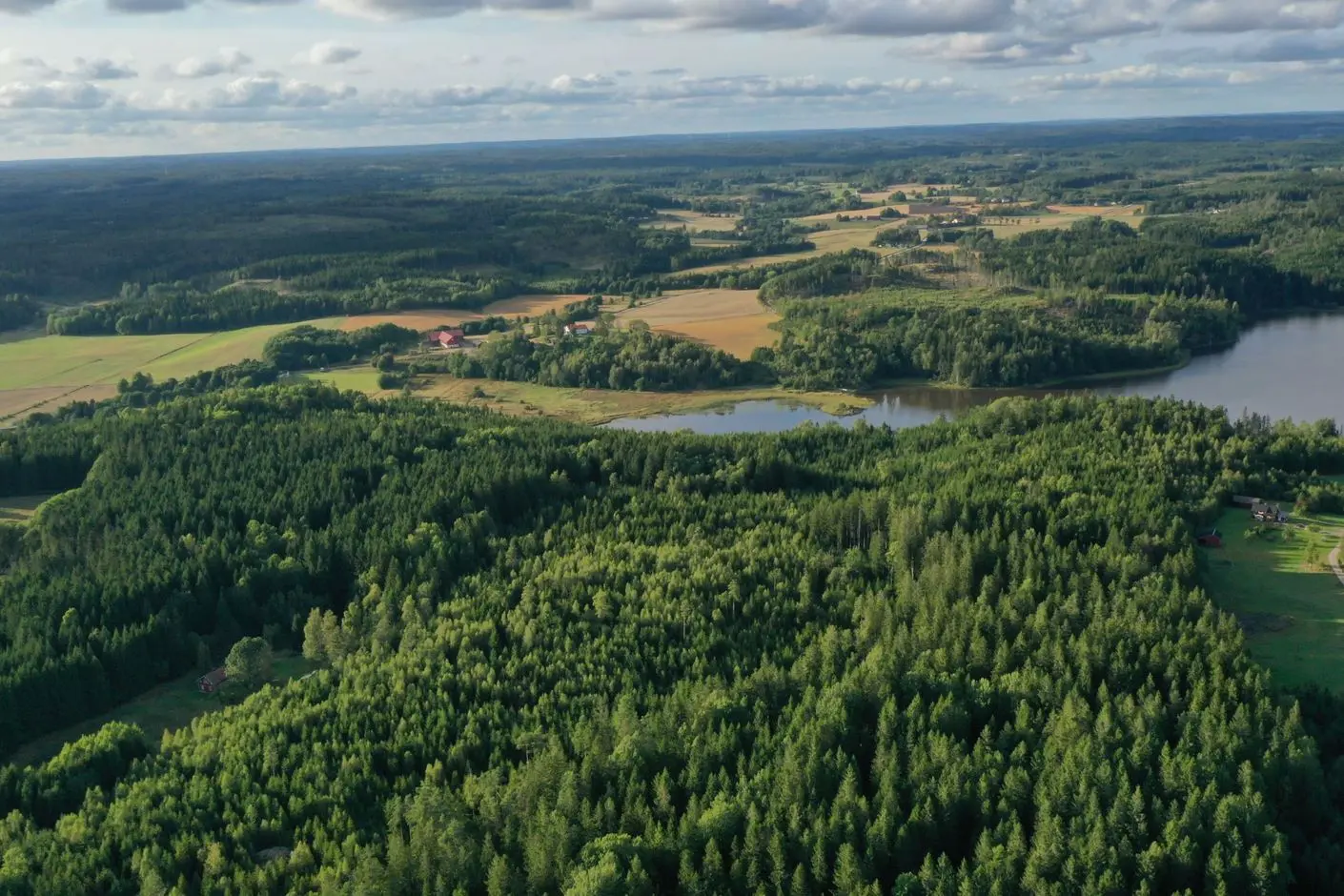 Bild 1 av 1 på Stuveryr 12