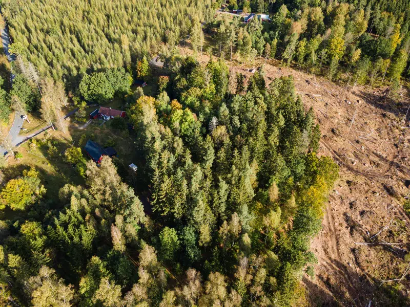Land / plot