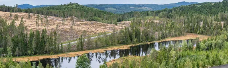 Holiday home, 2 rooms, 34 m² in Mattila